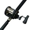 Shimano TLD 50 2 Speed Fishing Reel With T-curve 24kg Rod -Shimano shop DSC00916 11974 34134.1650364019