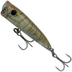 Bassday Backfire Popper Lure