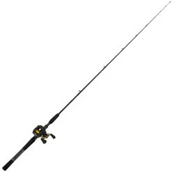 Daiwa Fishing Daiwa Baitcaster Combo Low Profile