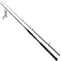 Daiwa Fishing Daiwa Seabass Fishing Rods