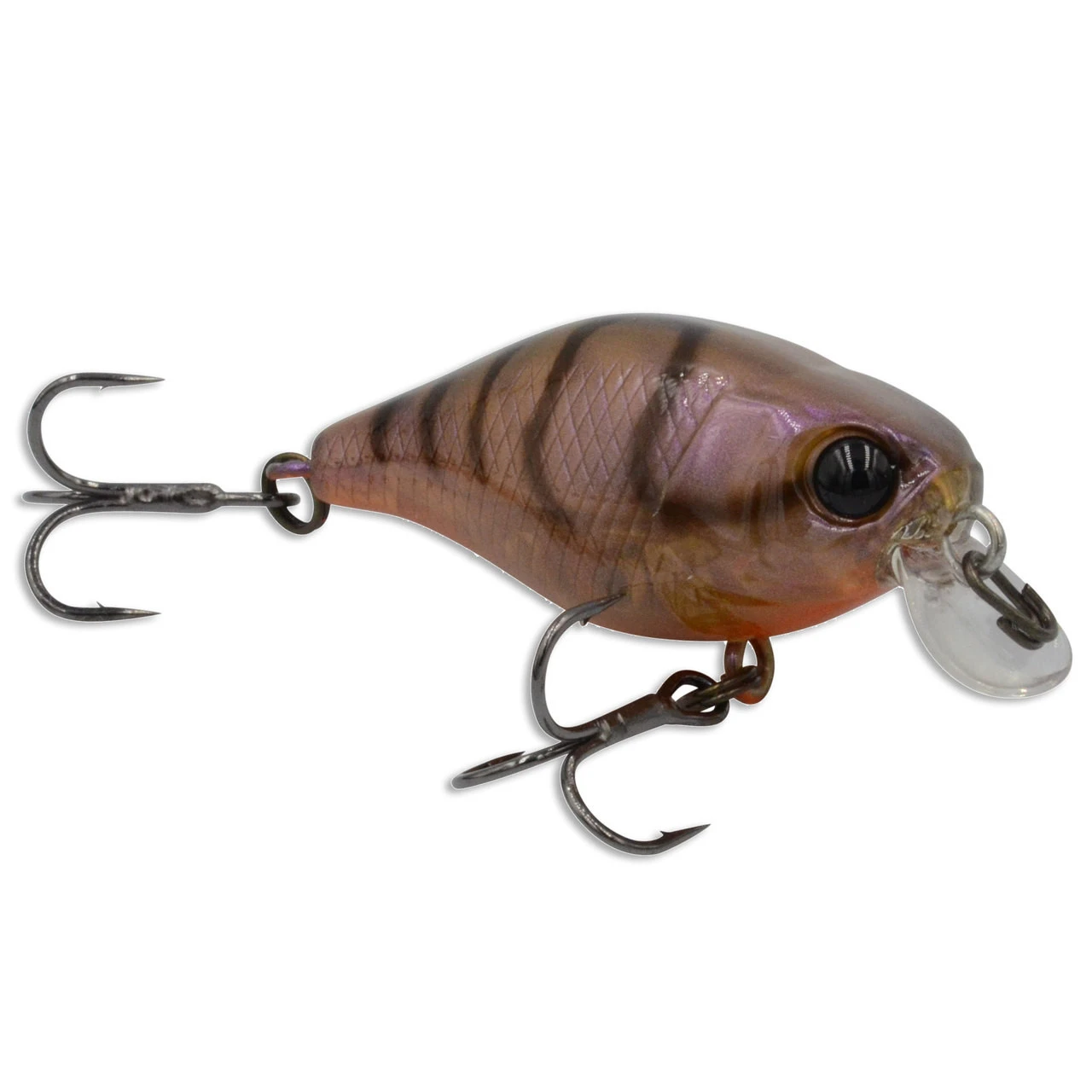 Jackall Lures Jackall Chubby Fishing Lures Shallow 3 Jackall Lures Jackall Chubby Fishing Lures Shallow
