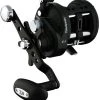 Daiwa Fishing Daiwa Saltist Level Wind Casting Fishing Reel - Model LW 30HC -Shimano shop saltist hc soh p1 55616.1644305533