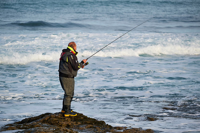 Shimano shop -Shimano shop shimano f1